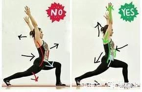 胸腔|为什么瑜伽练习不能照葫芦画瓢?看过这些图你就懂了…