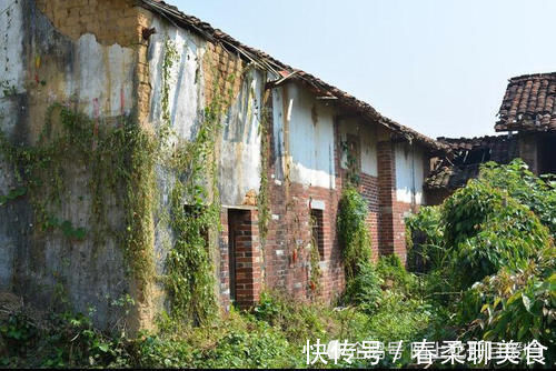 本村|已将户口迁入城里的农村子女,可这样继承老家的房屋和宅基地