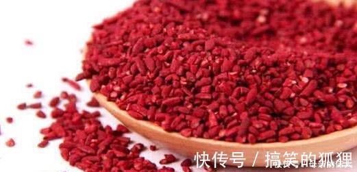 苦苣根|又被称为血管“清道夫”,每天吃一点,血管干净了,血栓消失了