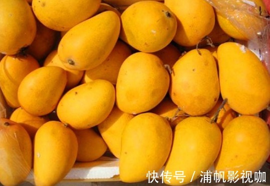 常吃|很有营养的3种食物，秋天常吃，健脾暖胃，补充营养，提高抵抗力