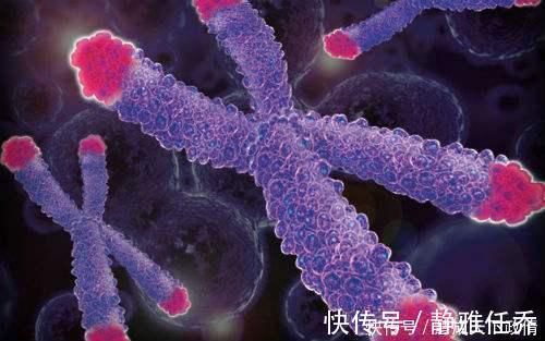 基因港|40年百岁老人调查长寿之乡的3个关键,和吃和运动没太大关系