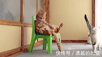 家居|全网吐槽最惨的8件鸡肋家居,我家居然中了6个,扔!