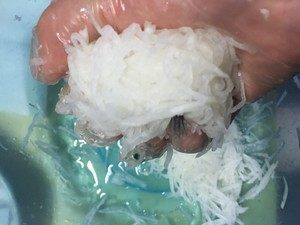 媳妇|媳妇用白萝卜这样烙饼，孩子一口气吃3个，外酥内软，做法超简单