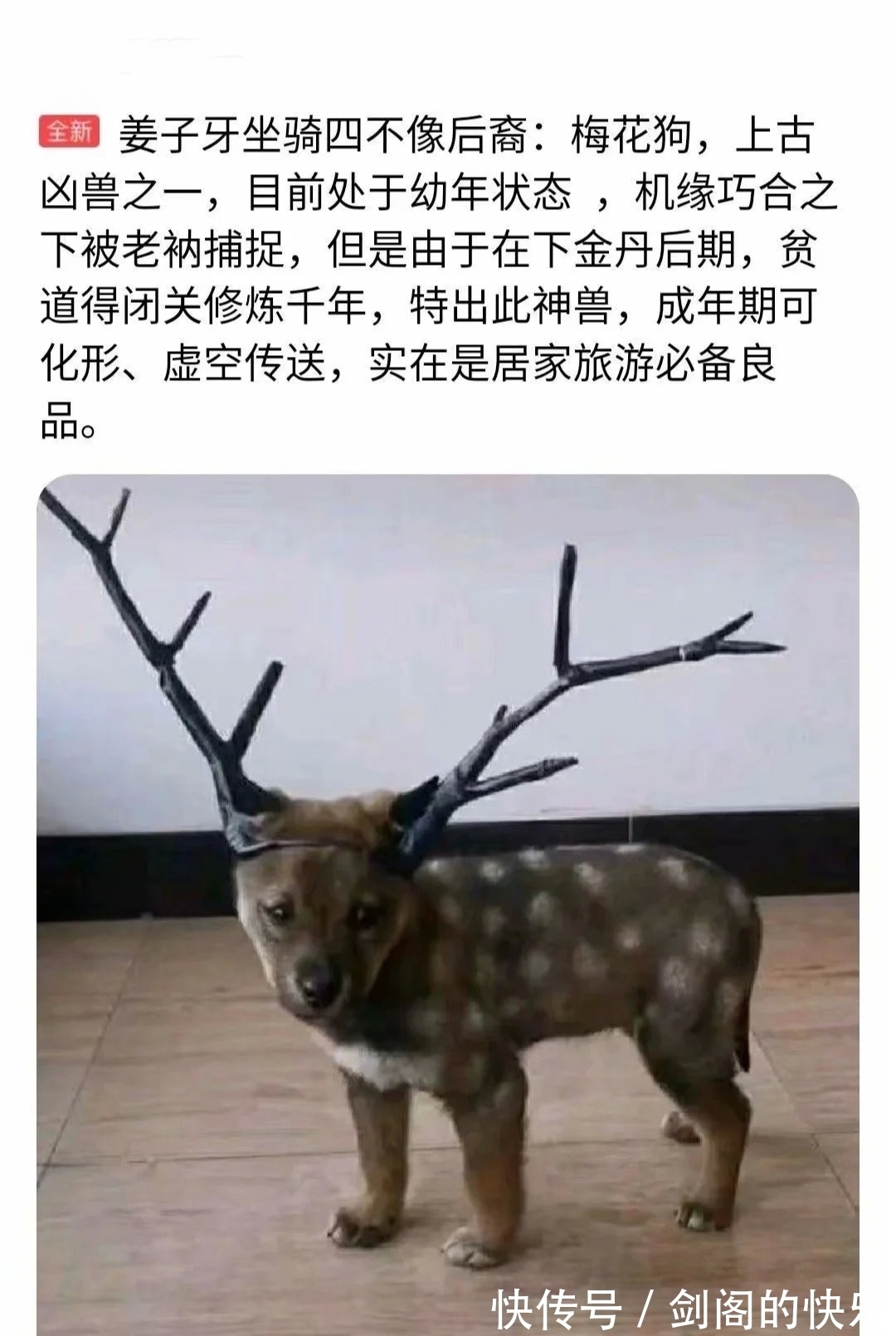 闲鱼|闲鱼卖家欢乐多!你在闲鱼上遇见过哪些搞笑卖家?