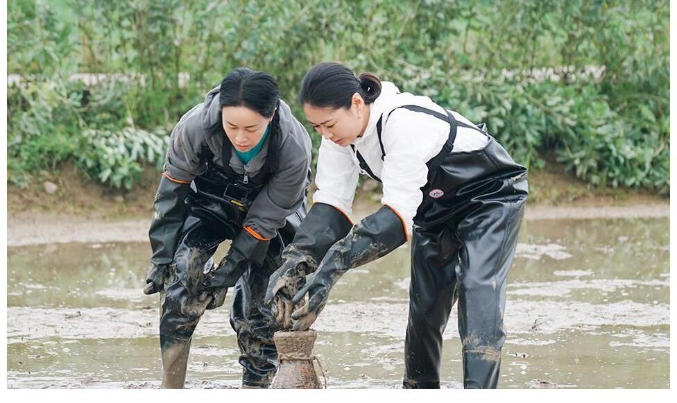 真面目|那英参加向往的生活，揭开了这档节目的真面目，口碑也直线上升。