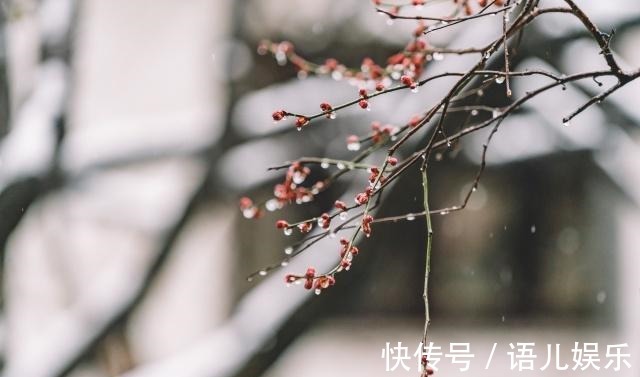 夜雨!40岁的白居易想起初恋,半夜失眠,写出一场千年来最凄美的夜雨