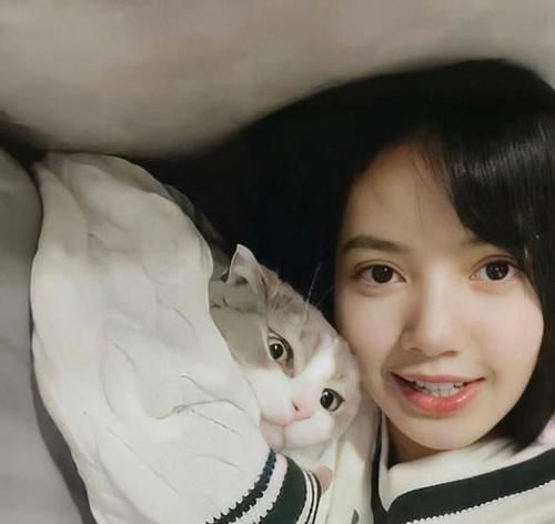 《青春有你3》一不小心就被杨丞琳官宣,LISA继续担任舞蹈导师