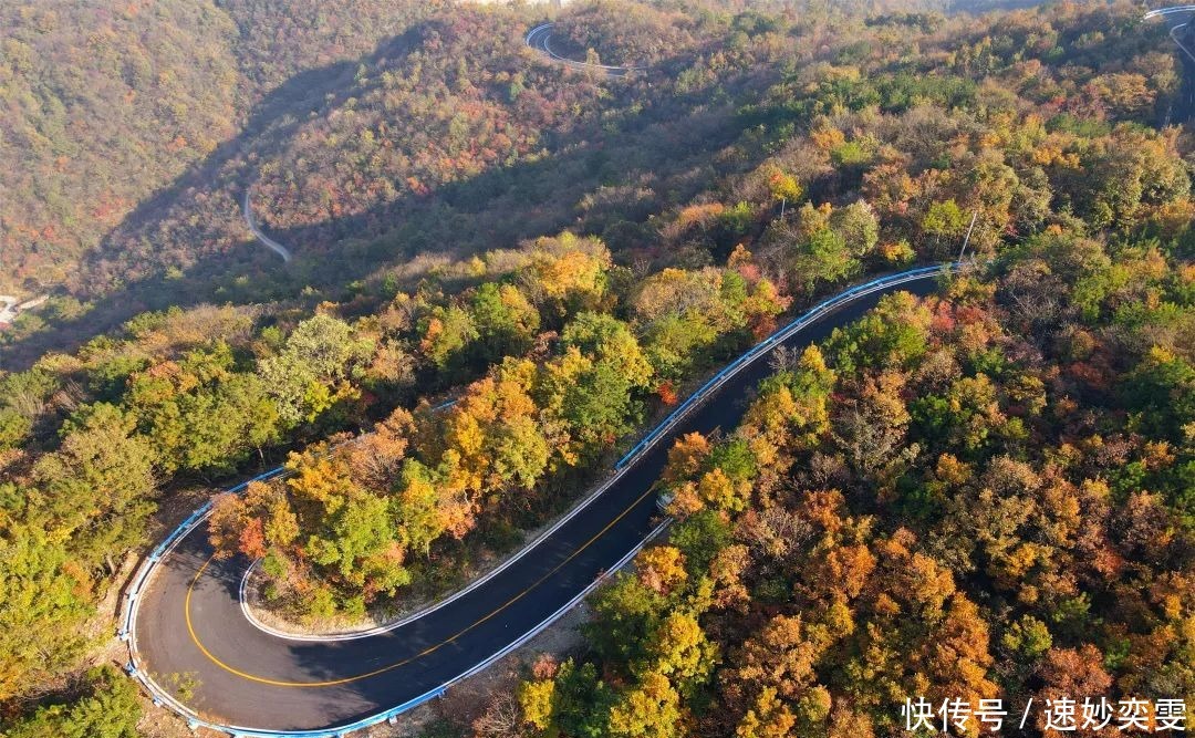 公路|这条藏在远安的旅游公路，惊艳了秋天，美成了童话