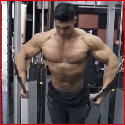 蝴蝶机|健身房训练时间话长短