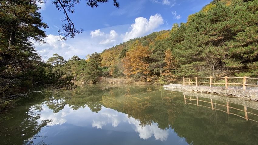 今夕何夕|陕西黄陵：深秋邂逅初冬 多彩林海似仙境