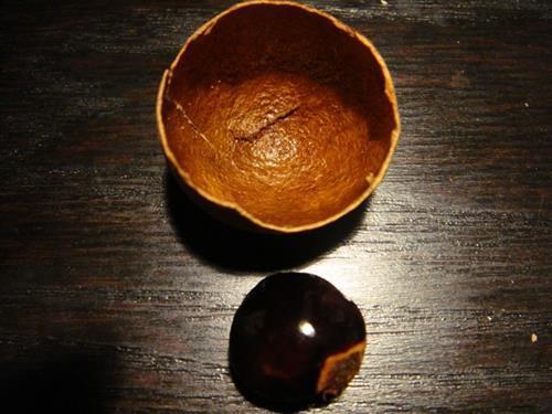 用處|桂圓殼別丟，煮水的4大用處特妙，頭痛、蕁麻疹、血管硬化全搞定