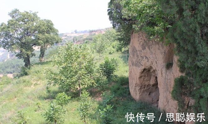 婴儿|母狼送给猎户个婴儿,猎户好心抚养20年,婴儿长大后发大财