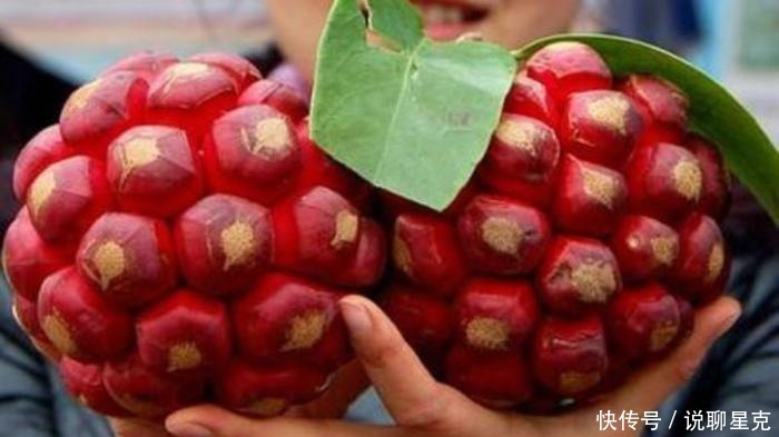 难吃|公认“最难吃”的4种水果,榴莲没有上榜,全吃过的敬你是条汉子
