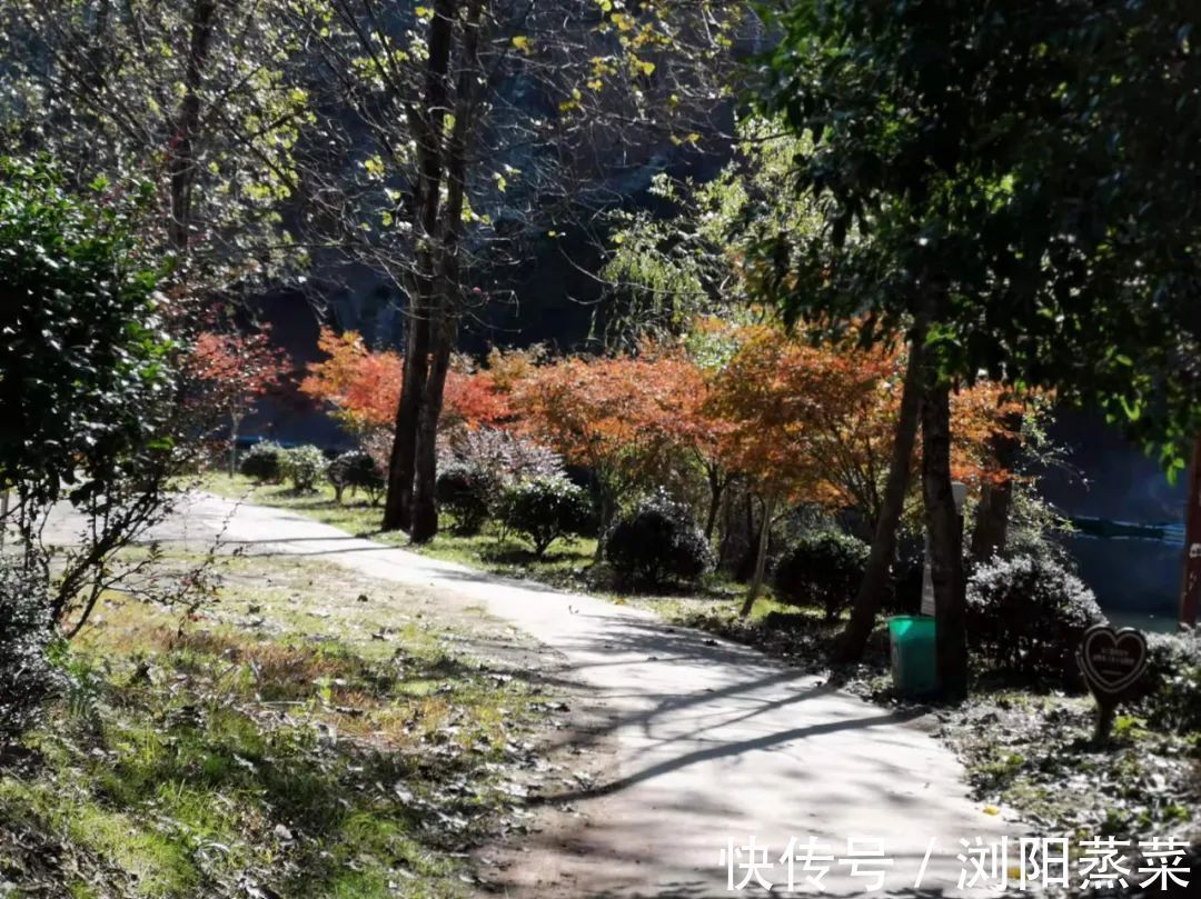 自信|当你相信你的孩子时,你的孩子就会开始自信!