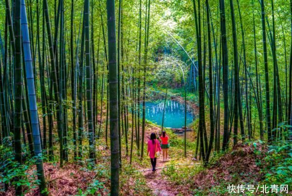 “中原竹海”西九华山：冬季的世外桃源