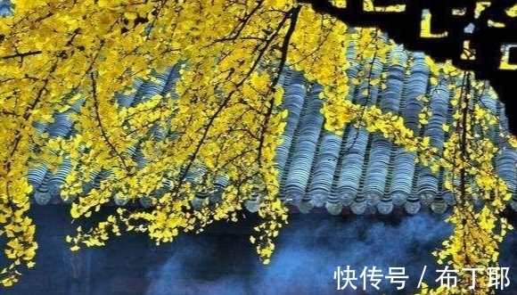 戒子文@《了凡四训》,掌控自己的命运,就靠这四点,受益一生