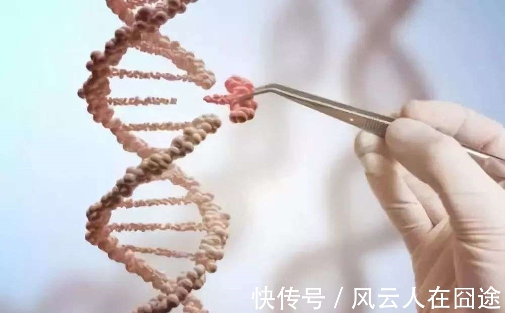 科学家|高智商能遗传吗?你的智商来自于父母的哪一方?