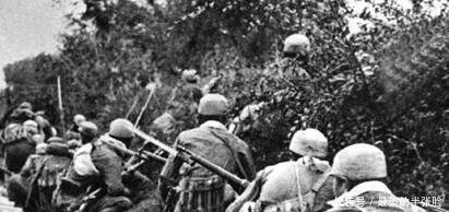 辎重|将军发现一群鸟,怒吼丢掉辎重全军撤退!将军发现一群鸟,怒吼丢掉辎重全军撤退!