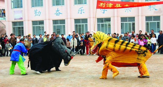 斗牛|虎风虎韵齐鲁行｜虎年虎事虎文化