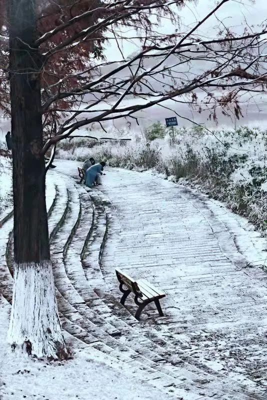 下雪|如果，雪落川大！