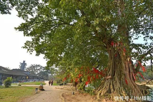 中年|四川成都竟有11个这么美的古镇,你都知道和去过几个?