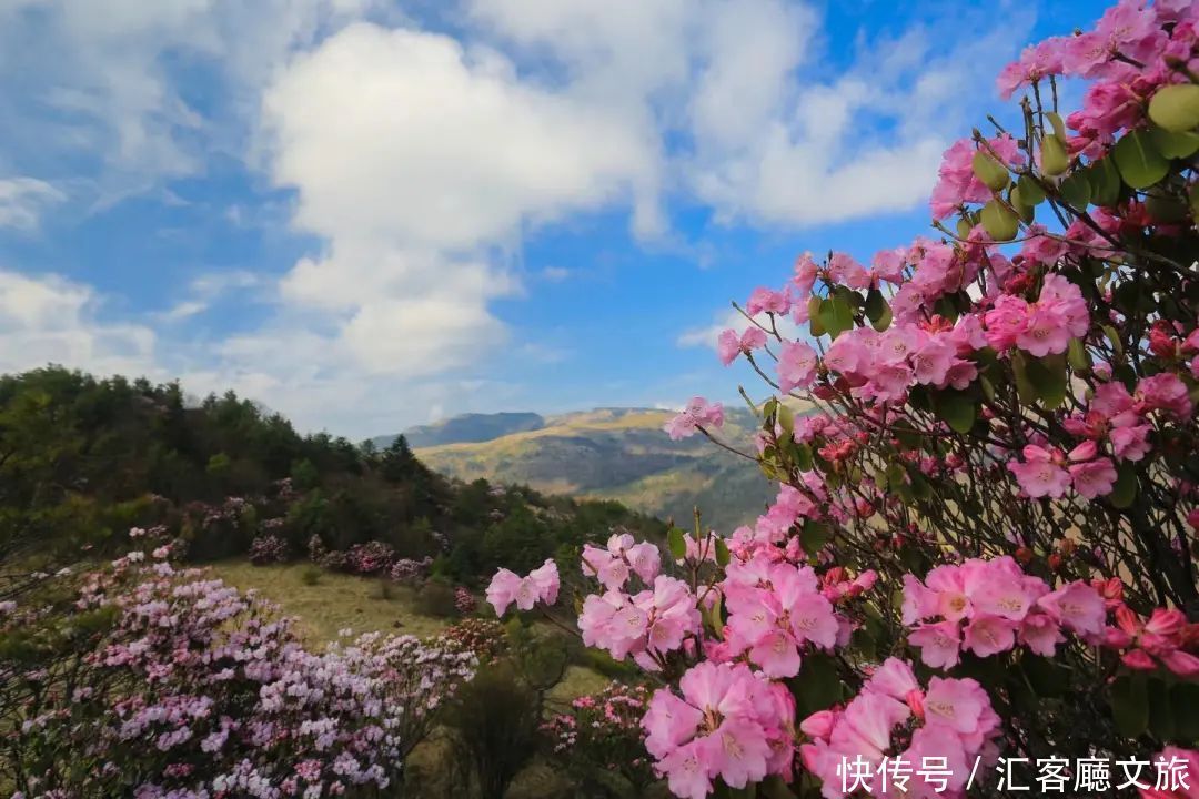 厦门|8个国内五月最美的地方，别辜负了这么美的初夏！