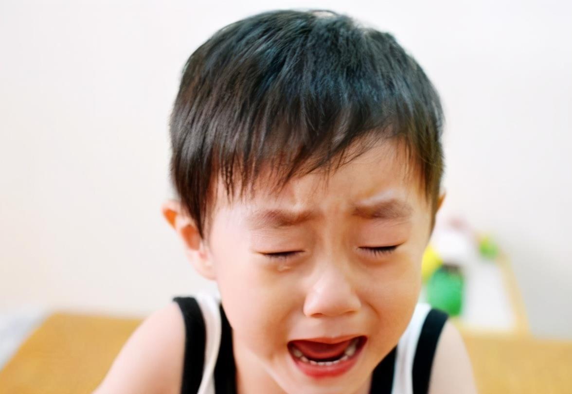 宝妈|进入2岁后,孩子为啥哭闹变多?心理学家:该提升“情感粒度”了