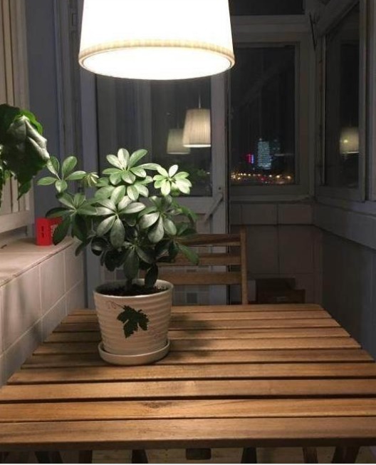 小伙|480块出租房，精神小伙自己花钱打造成豪宅，超漂亮，看着都舒服