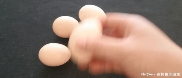 鸡蛋|买鸡蛋前一定要摇一摇,很多家庭都还不清楚,亏大了