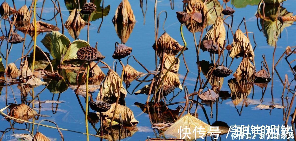 情诗|新婚燕尔,李商隐写下一首诗赠给妻子,堪称大唐最美的情诗