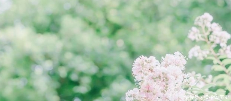 范成大|范成大最经典的一首诗，更是惊艳了世人800年，成为了千古名篇