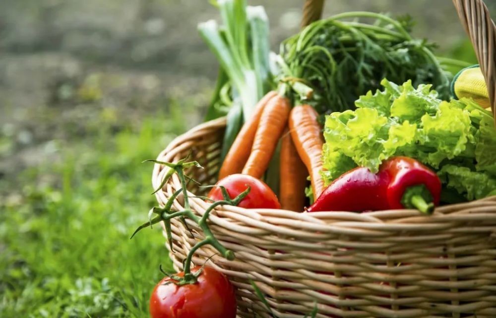 花园|在家种个菜都这么美,还要什么花园?