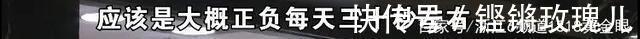 宁波 “蓝气球”先慢后停，“卡地亚”评估“失灵”