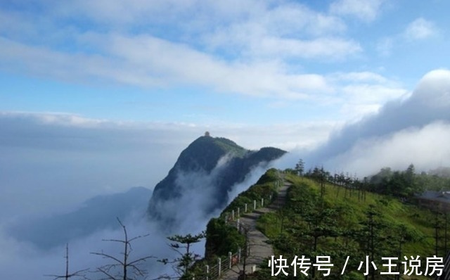 城市|乐山中心城：它占据了城市的核心，享有繁荣