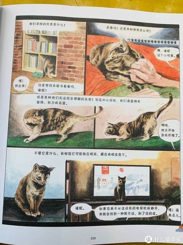 猫生|爆笑治愈的猫生漫画，你不是猫，你怎么知道猫怎么想？