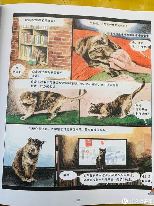 猫生|爆笑治愈的猫生漫画,你不是猫,你怎么知道猫怎么想?