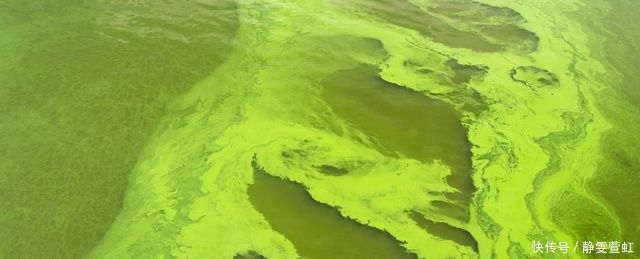 火星生活 科学实验表明,蓝藻可以帮助人类在火星上生存