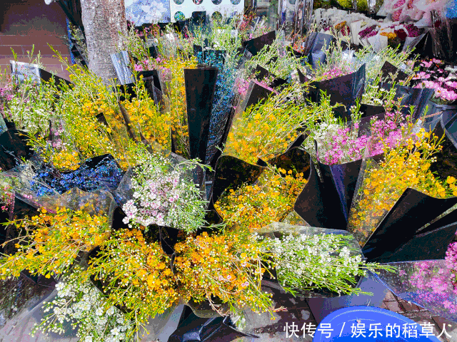 中年|撒糖!这些西安文旅CP你磕谁?