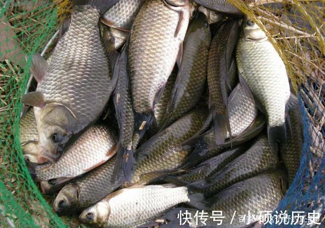 深秋想要鲫鱼爆连，味型和钓法都是次要的，选对水深才是关键因素