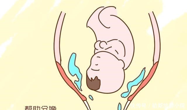 生命|宝宝的生命水为什么叫“羊水”,而不叫“牛水”,就是水吗