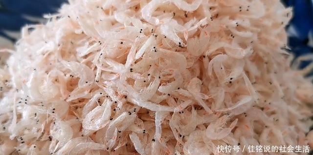 家庭必备调味粉做法,学会再也不用买鸡粉味精了,鲜香无添加!