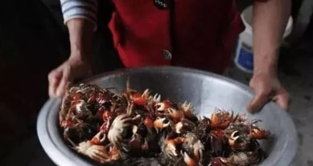 天下|10斤吃不到1两肉,北方人基本不吃,南方人却称其为“天下奇鲜”