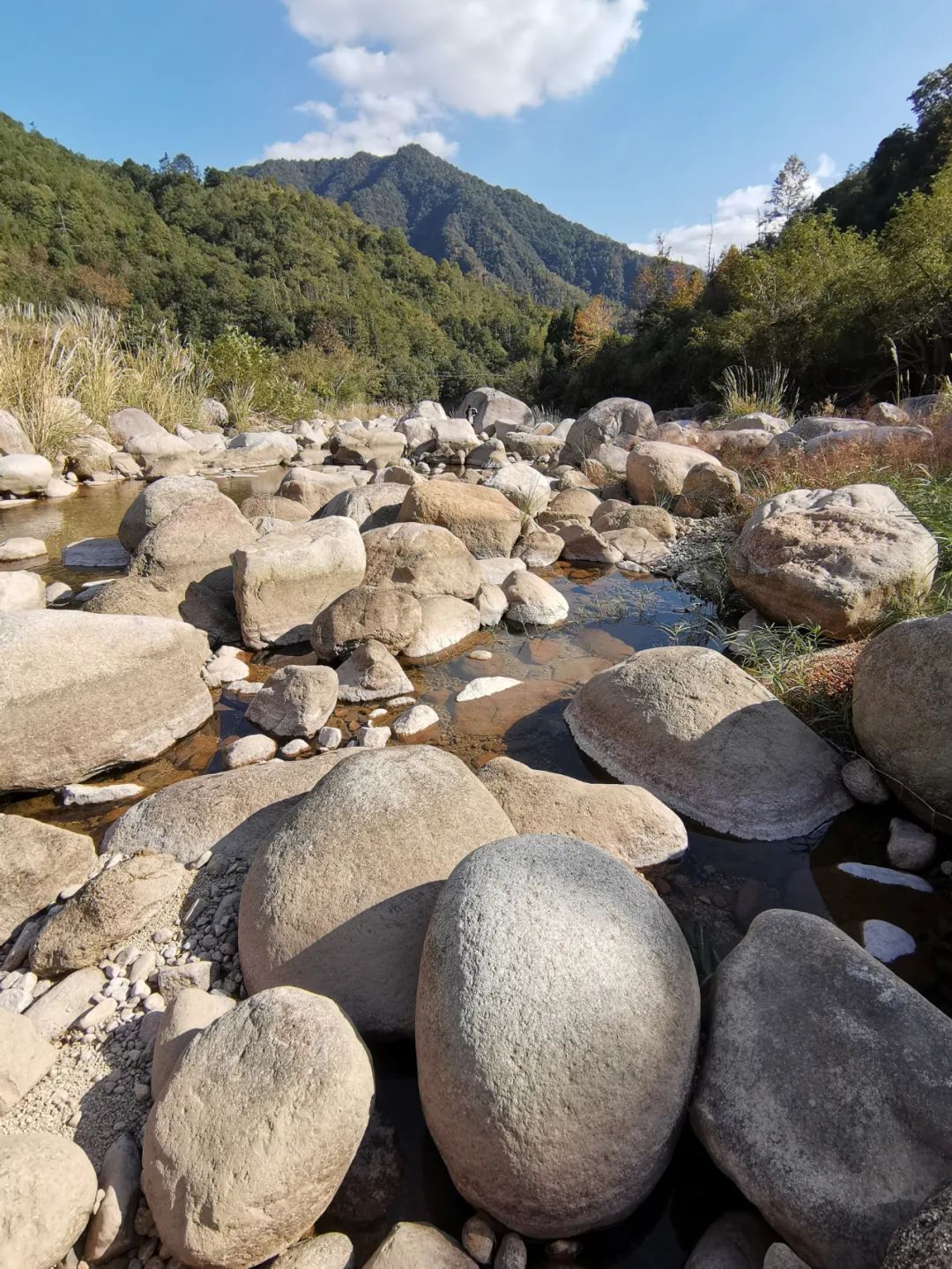 诗意|人迹罕至！永嘉这里有条花岗岩石河、平板溪...