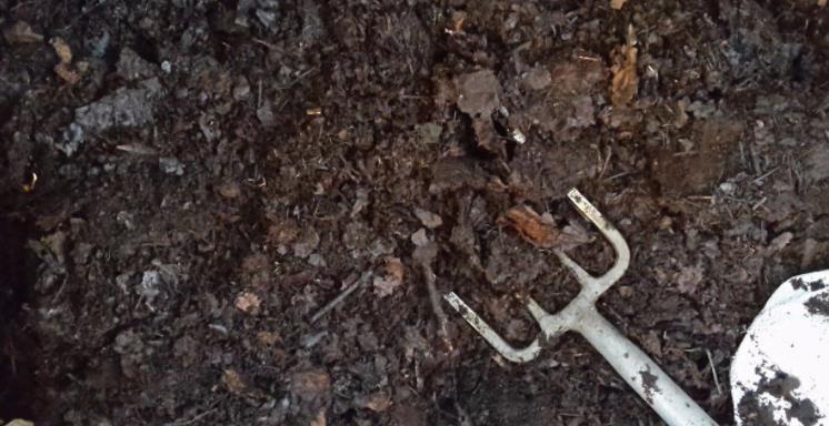 挑战用树桩打造盆景,满足这3要求,个个美如画、增值不少