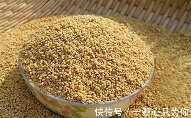 深秋野钓,选择饵料不用纠结,就用这些天然饵料,效果远超商品饵