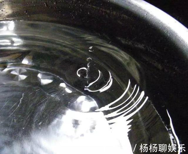 养花浇水“学问大”,老花匠教你什么水、什么时间适宜浇花!