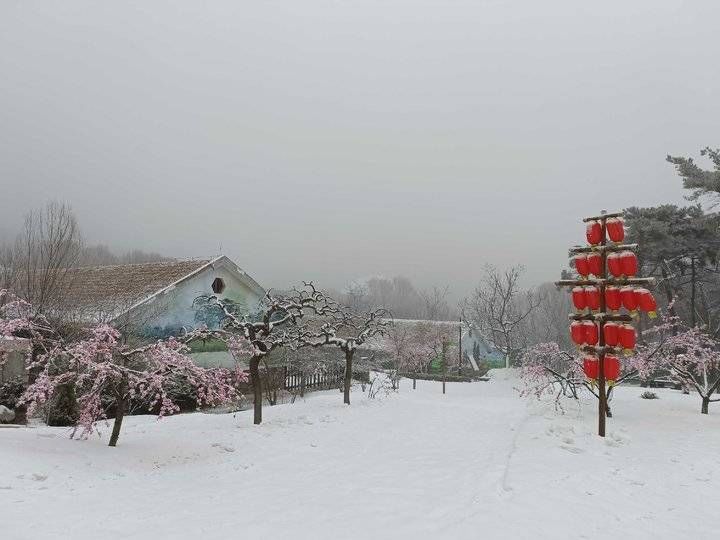 第一场雪|2022第一场雪，齐鲁雪乡腊八节诠释济南的冬天