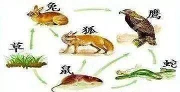 汇总|高中生物必修1-3考点汇总, 背诵与动图搭配! 强烈建议收藏！