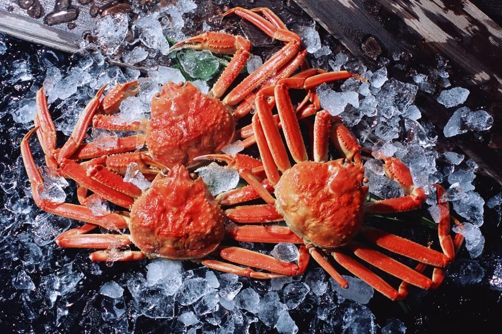 寄生虫|孕期“吃肉”禁忌:怀孕后,想要母子平安,请避开这5种肉类!