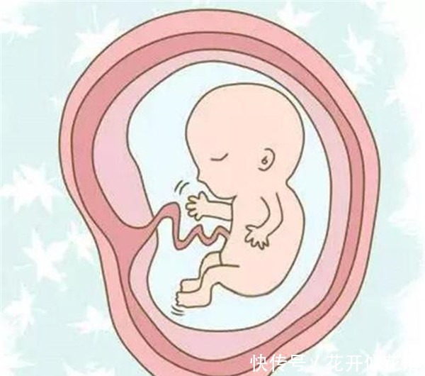 宝宝|胎动除了反应健康状况外，还能看出宝宝的性格呢，你还别不信
